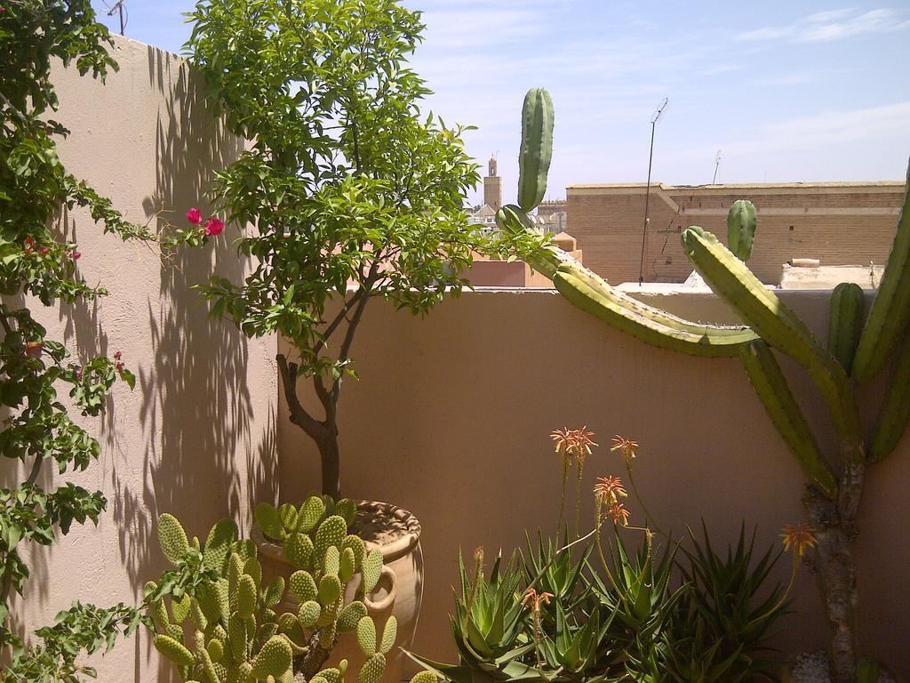 Riad Irene Marrakesh Exterior photo